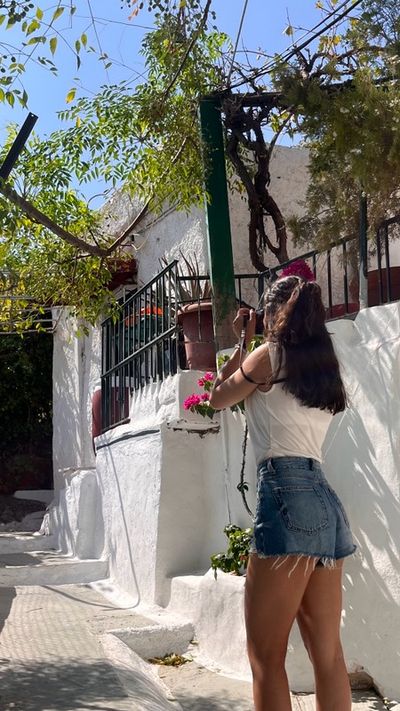 Melissa, foto 2