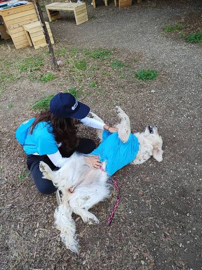 Gaia, Pet sitter a Perugia