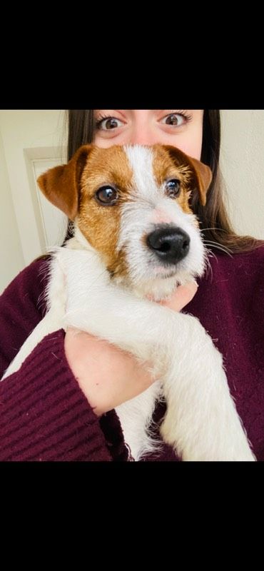 Veronica, Pet sitter a Perugia